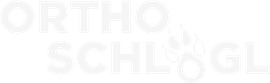 Orthopädie & Schuhmachermeister Robert Schlögl Logo
